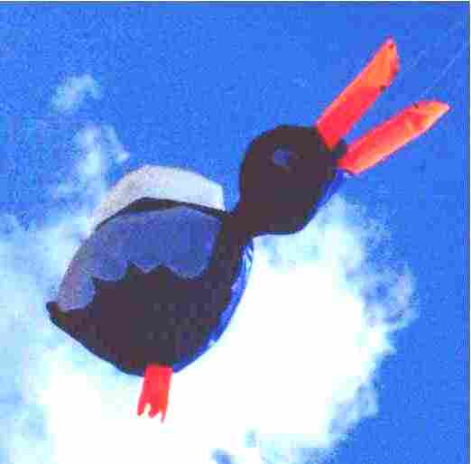 duck.jpg (16271 byte)