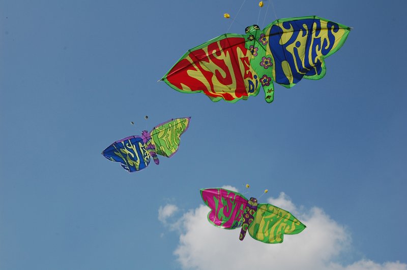 farfalle teste di kites in volo