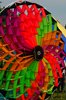 vulandra_2014 (54)
