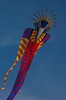 vulandra_2014 (59)