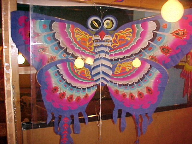 farfalla.jpg (74257 byte)
