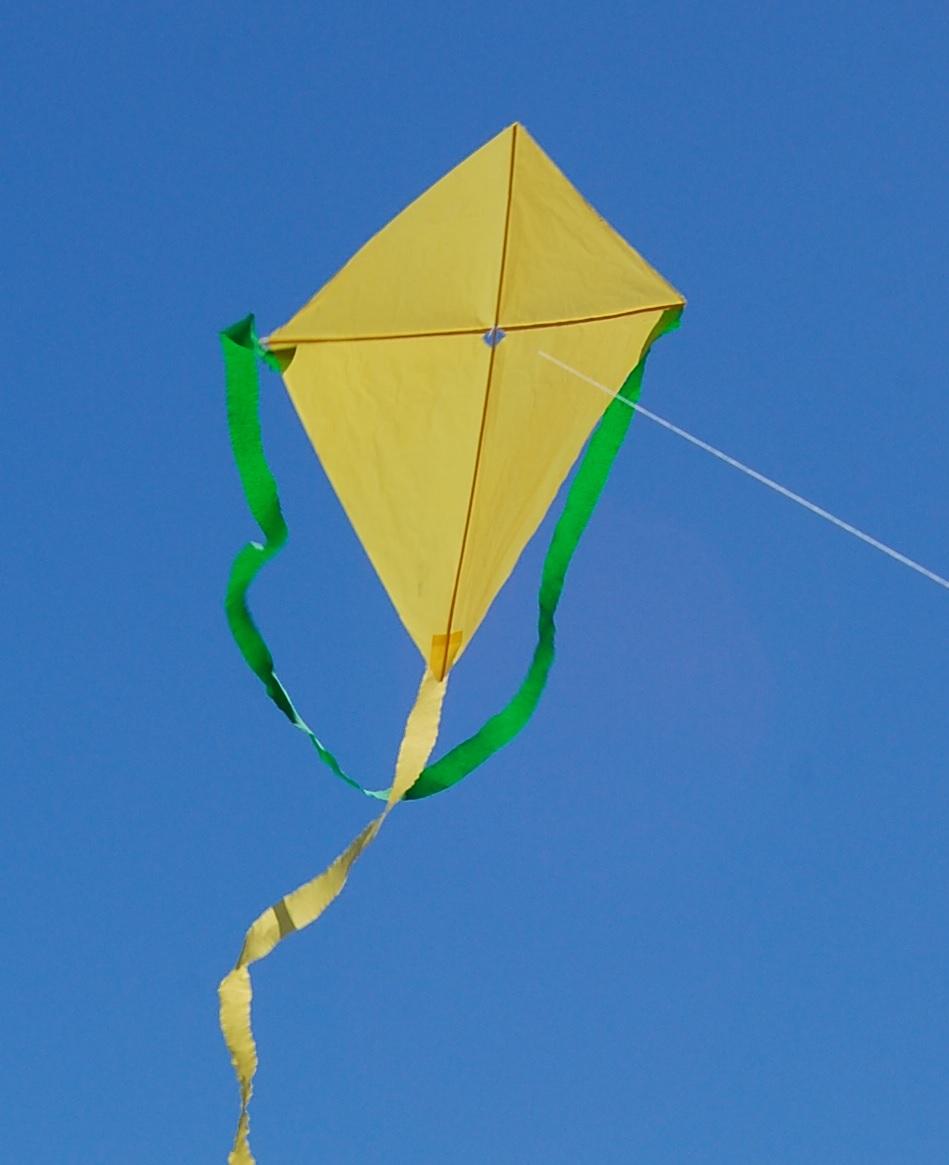 Volere Volare Progetti